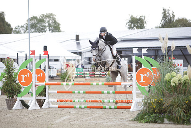 1J2A8281Hannes Ahlmann_ Cool Design 8_ Kn293_ Havekost | Foto- und Videografie für alles rund ums Pferd. Hochwertige Bilder und Videos vom Spring- und Dressurreiten, Voltigieren & mehr. Jetzt aktuelle Veranstaltungen und Preise im Shop ansehen. - Realisiert mit Pictrs.com