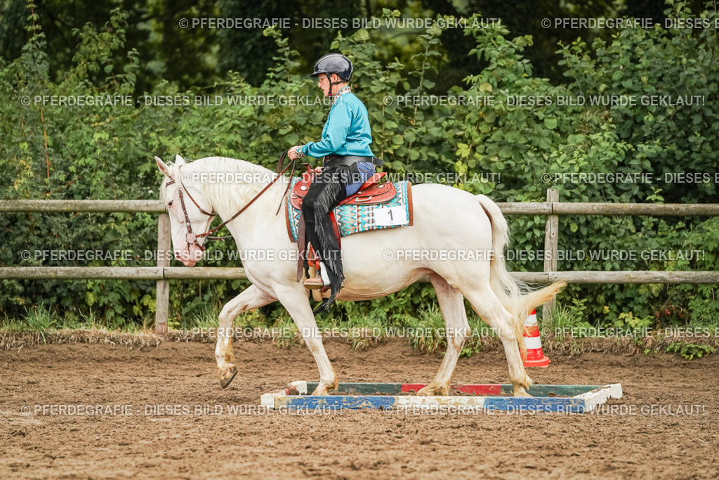 DSC03605 | Pferdegrafie