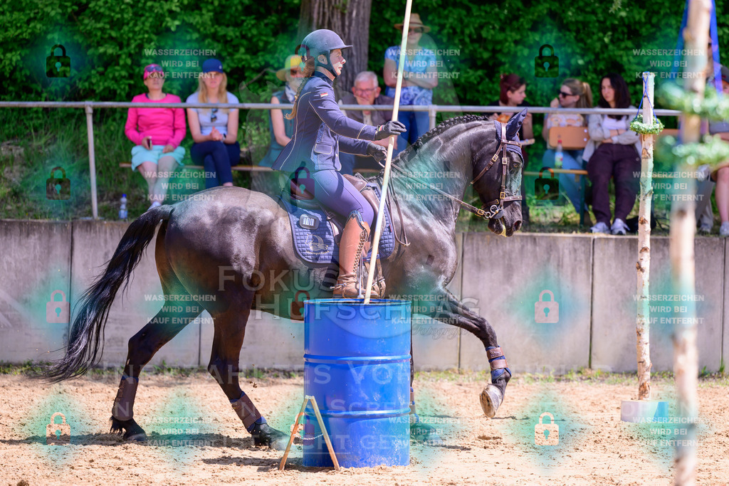 03052026-Giesenbach-05-Stiltrail-0238 | Fokus Hufschlag Fotografie - Realisiert mit Pictrs.com