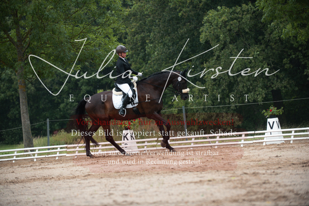 DSC_9716 | Pferde- und Turnierfotografie in Westsachsen. Pferdeportraits, Auftragszeichnungen und intuitive Kunst.