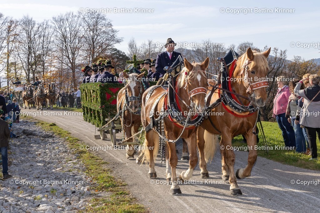 LBT24-1229 | foto-bettina-krinner - Realisiert mit Pictrs.com