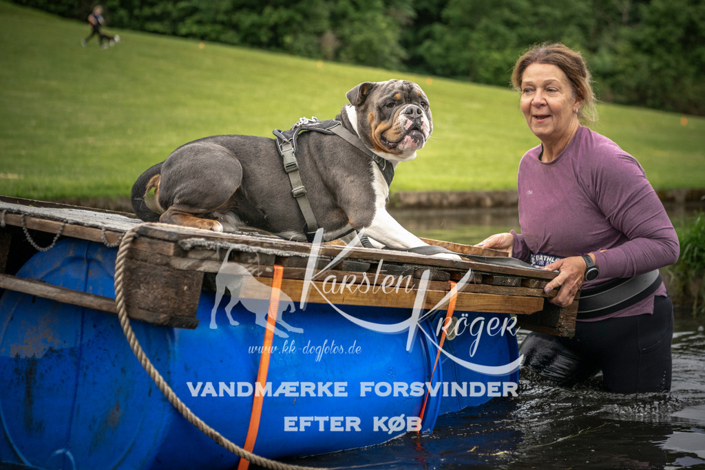 1004_ZZ93980 | kk-dogfotos