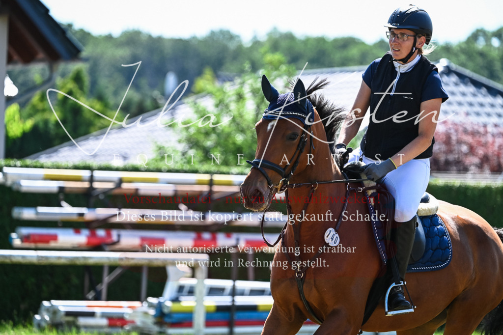 DSC_1432 | Pferde- und Turnierfotografie in Westsachsen. Pferdeportraits, Auftragszeichnungen und intuitive Kunst.