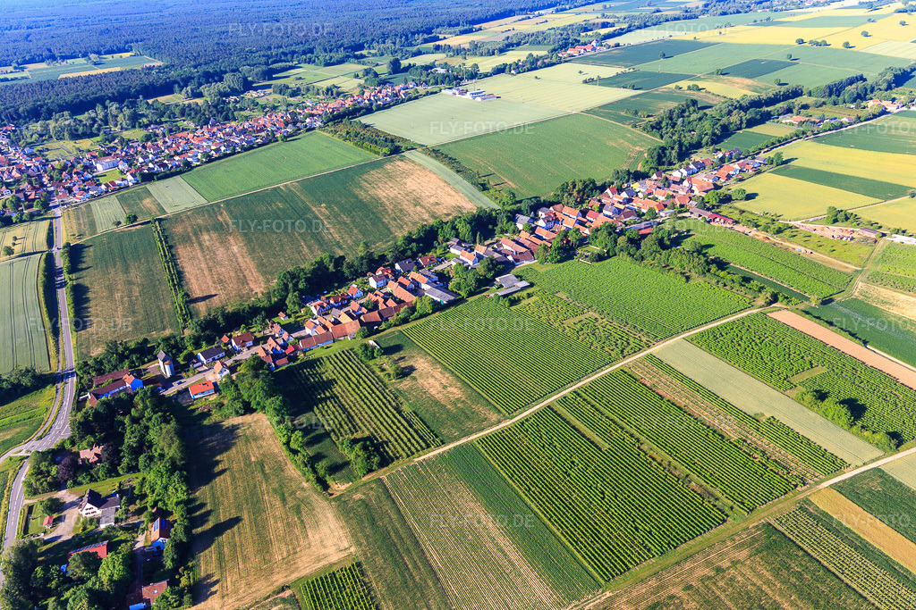 Luftbild: Dorfansicht aus Norden in Vollmersweiler im Bundesland Rheinland-Pfalz in Deutschland. Foto: IMG_101007.jpg vom 17.06.2017 durch Werner Riehm/FLY-FOTO.de