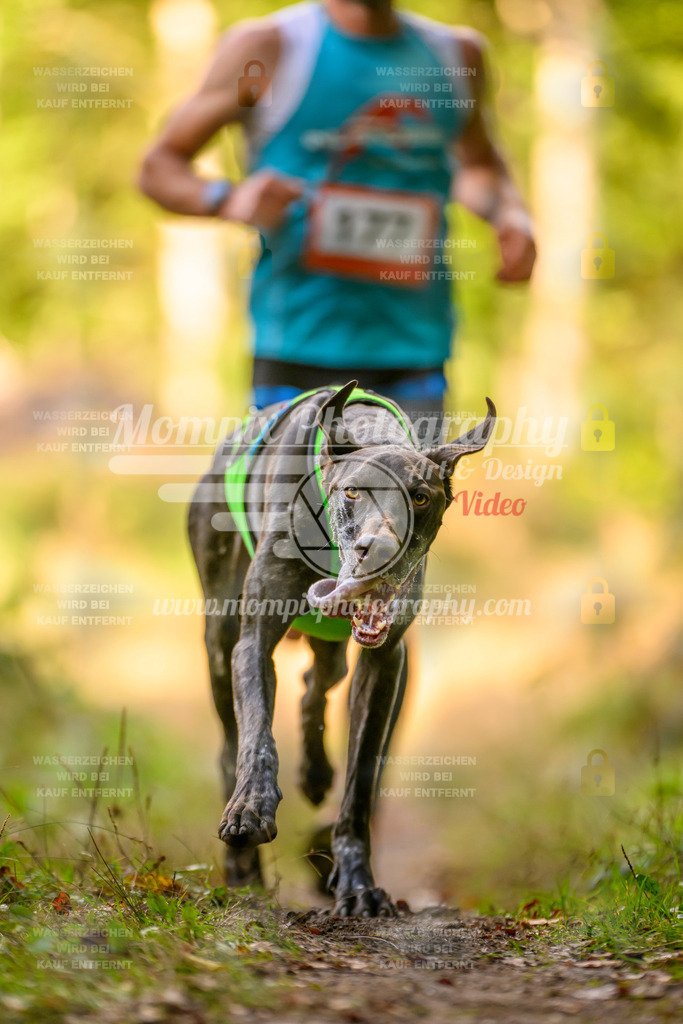 MompixPhotography_Yens2025_B3-214 | PayLife