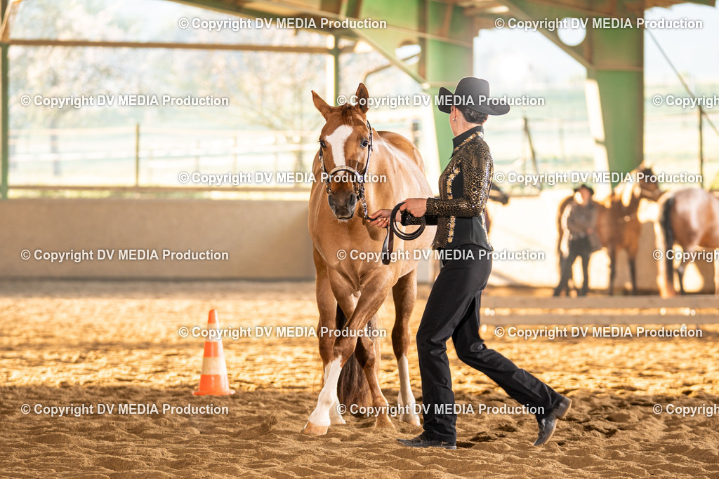 Balingen Tag 1-142 | dv-media-shop - Realisiert mit Pictrs.com