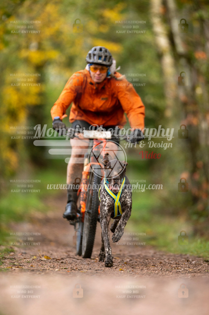 TSB_2023_E4_Bike-23 | PayLife