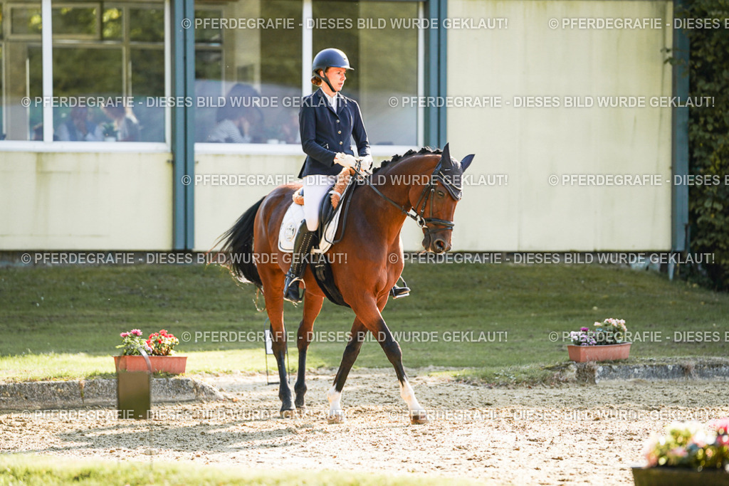 DSC06718 | Pferdegrafie