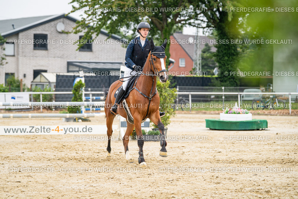 DSC00075 | Pferdegrafie