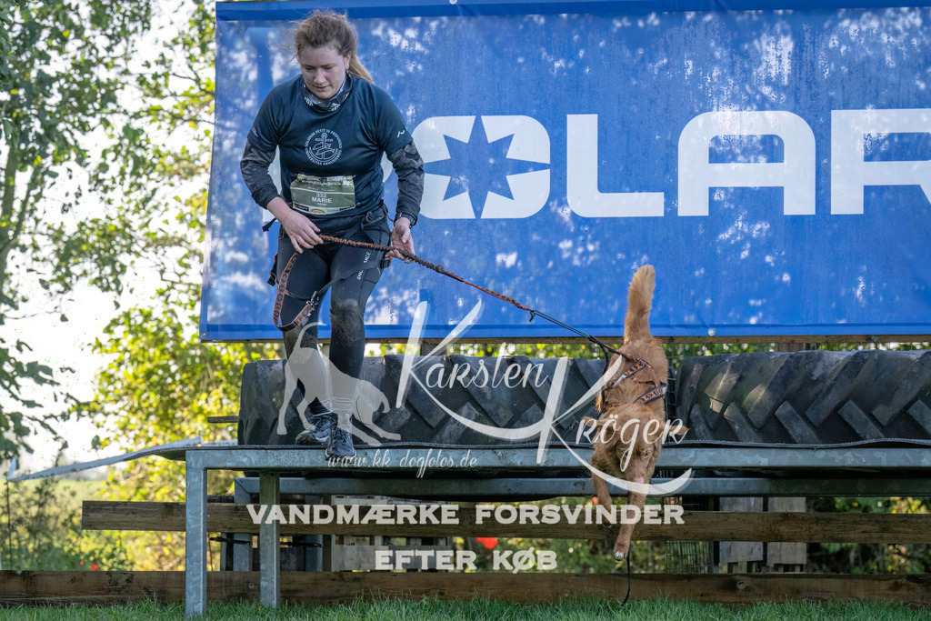 1034--7 | kk-dogfotos