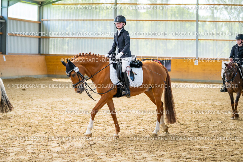 DSC01502 | Pferdegrafie