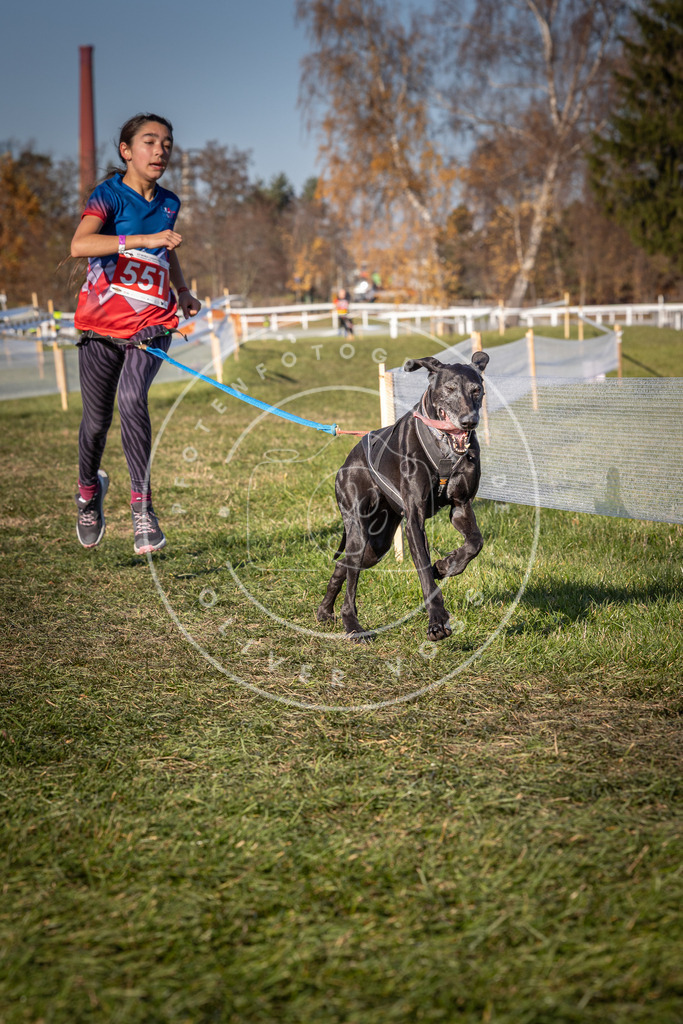 CaniXpix_0L8A7746 | Hundefotografie, Tierfotograf, Pfotenfotografie, Fotoshooting Hund, Hunde Portrait, Hundesport, Hundeportraits, Heideshooting, Hunde, Sportfotograf, Hundefotograf, Turnierhundsport, THS,  - Realisiert mit Pictrs.com