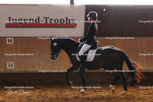 JugendTrophy0261 | Fotografie, Tiere, Hunde, Katzen, Pferde, Sportfotografie, Fotosession, Tierfotografie, Turnierfotografie, Fotografin, Fotograf - Realisiert mit Pictrs.com