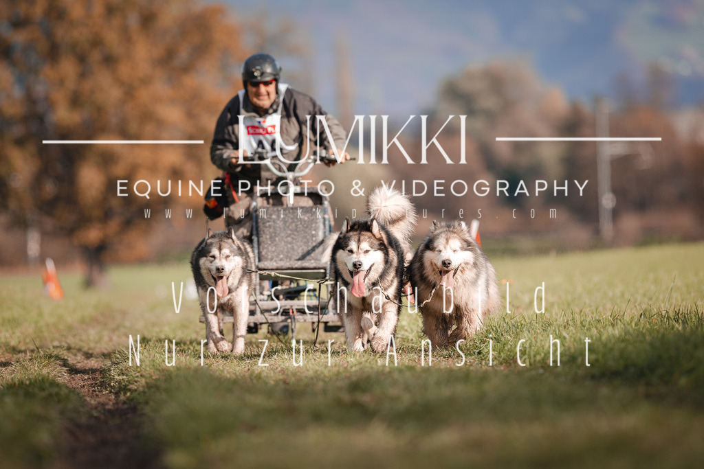 _K0A1813 | lumikki-pictures