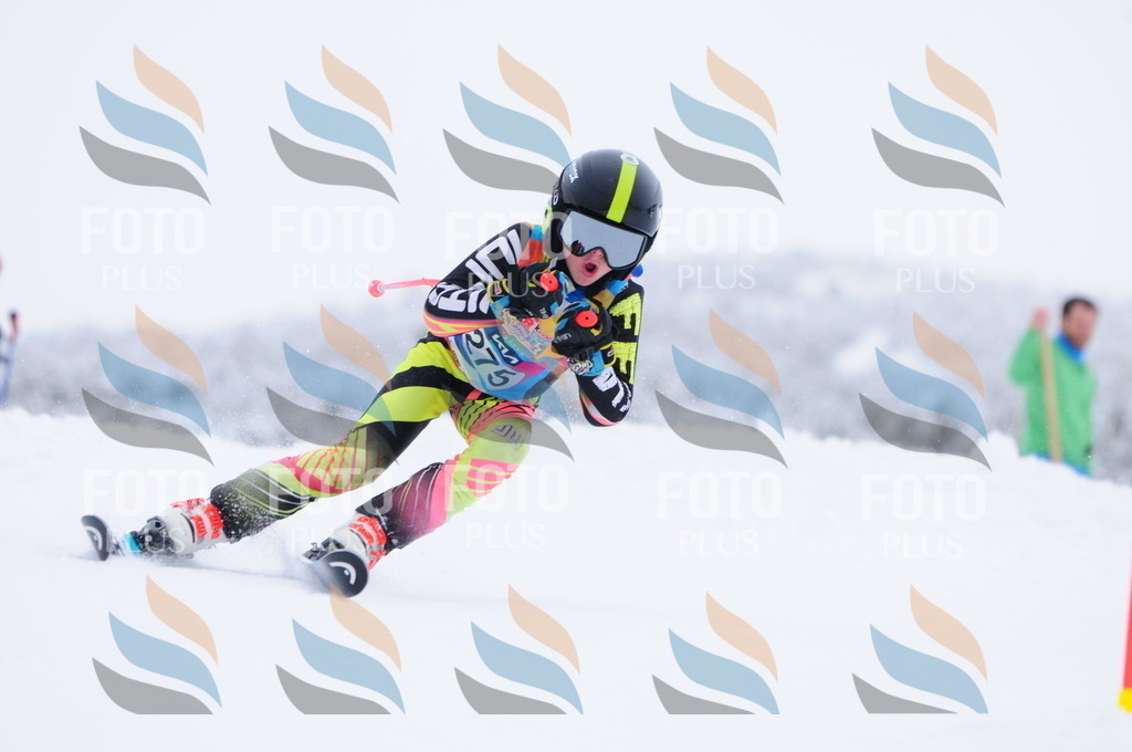 C2905 | holidayphoto