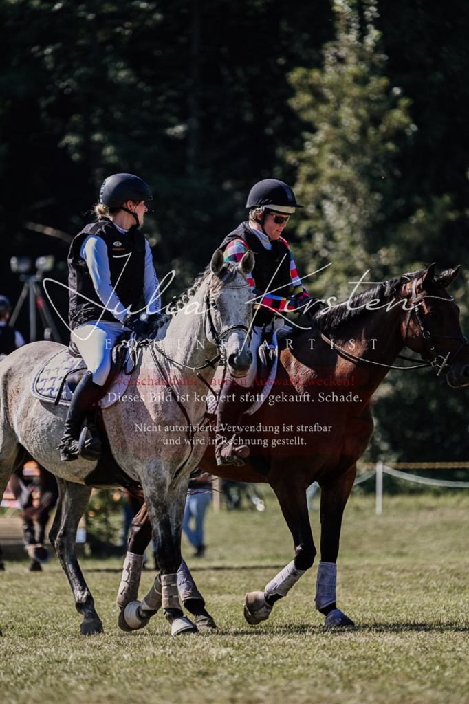 DSC_2569 | Pferde- und Turnierfotografie in Westsachsen. Pferdeportraits, Auftragszeichnungen und intuitive Kunst.
