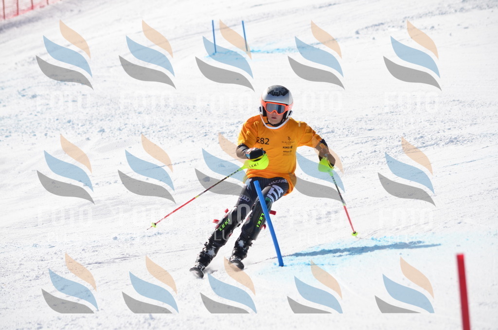 C8645 | holidayphoto