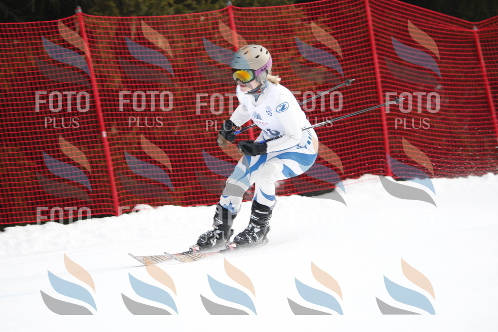 D4985 | holidayphoto