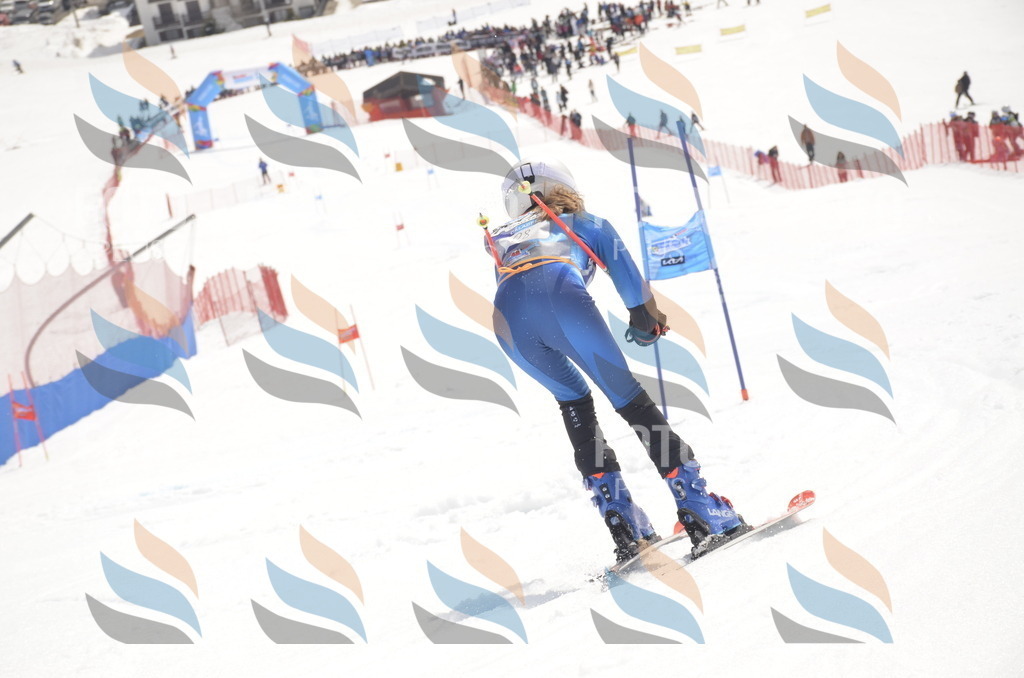 _ELE8905 | holidayphoto