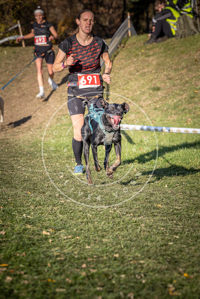 CaniXpix_0L8A9353 | Hundefotografie, Tierfotograf, Pfotenfotografie, Fotoshooting Hund, Hunde Portrait, Hundesport, Hundeportraits, Heideshooting, Hunde, Sportfotograf, Hundefotograf, Turnierhundsport, THS,  - Realisiert mit Pictrs.com