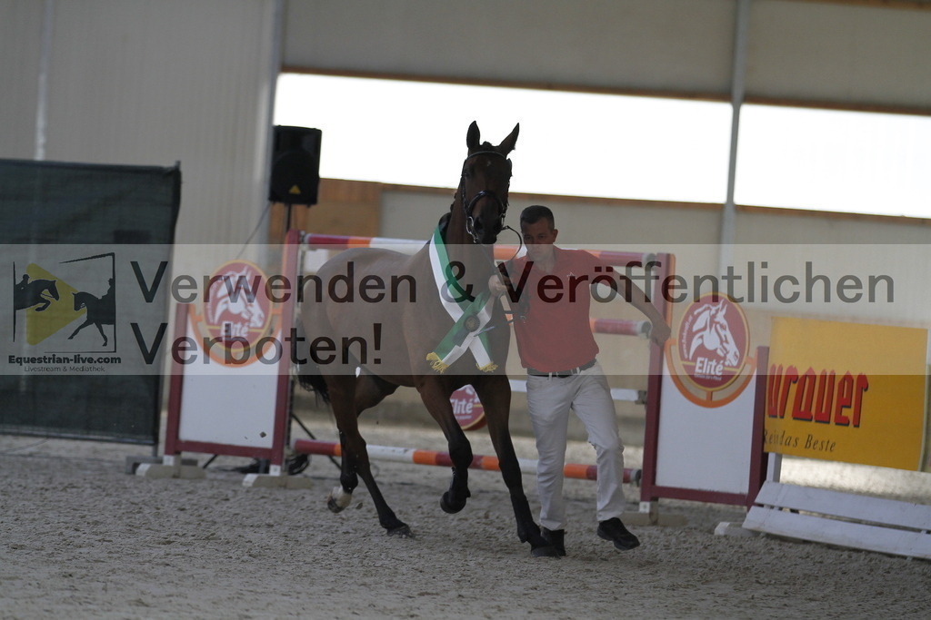 _MG_0753 | equestrian-live-com