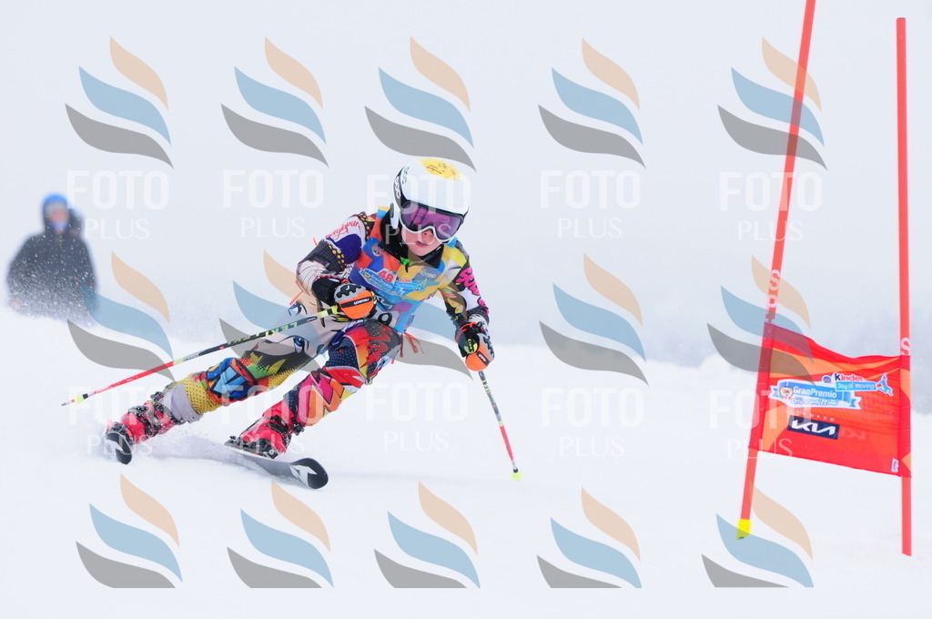 C3388 | holidayphoto