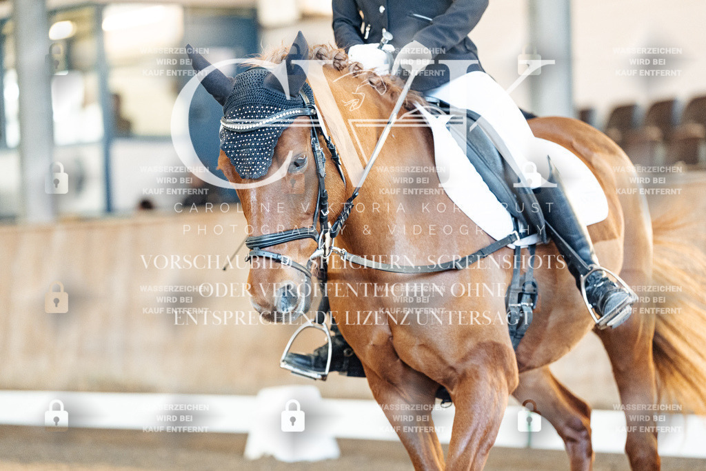 CK907858 | Turnierfotografie Pferdefotografie Trier Rheinland-Pfalz Pferdesport Reitsport Tierfotografie Sportfotografie Pferdevideo Pferdevideografie Equestrianvideography equestrianphotography  - Realisiert mit Pictrs.com
