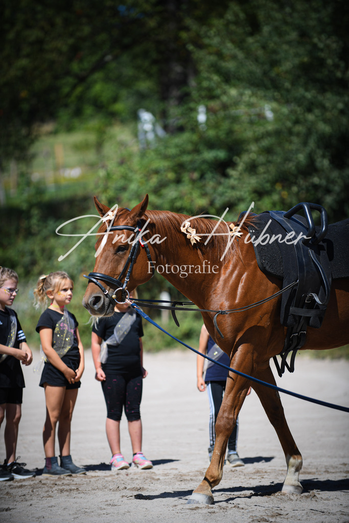 DSC_0646 | anikahuebner - Realisiert mit Pictrs.com