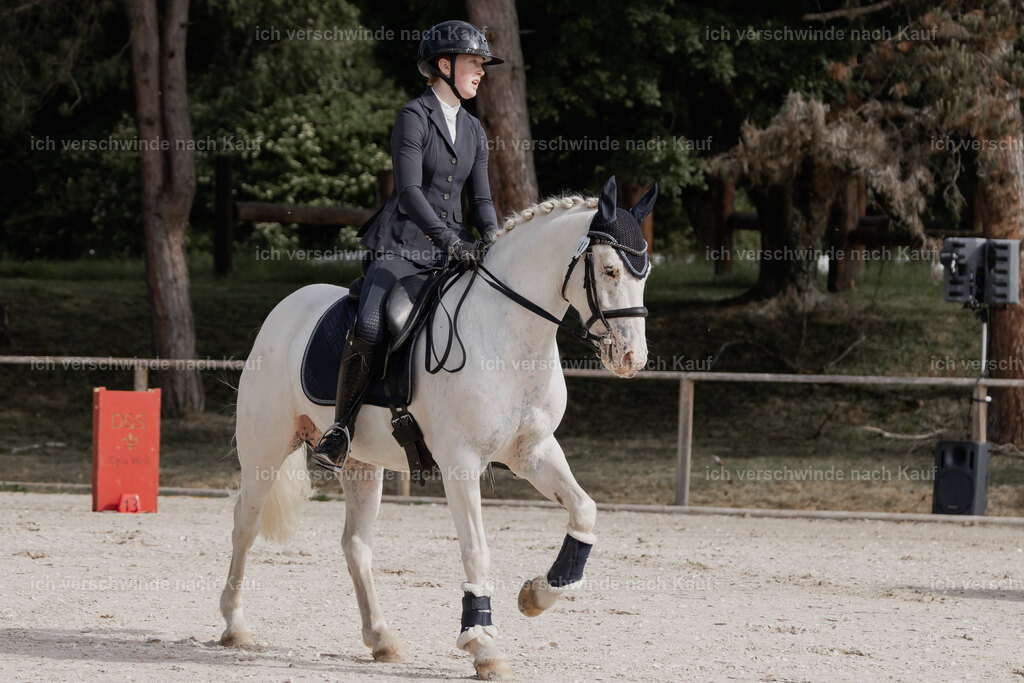 WE_ST_Stoib_341_PI2025_889 | Pferd International München 2025