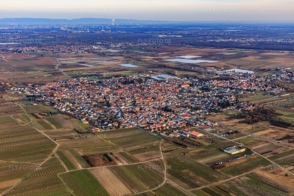 Luftbild: Ortsansicht aus Westen in Weisenheim am Sand im Bundesland Rheinland-Pfalz in Deutschland. Foto: IMG_130567.jpg vom 12.02.2022 durch Werner Riehm/FLY-FOTO.de
