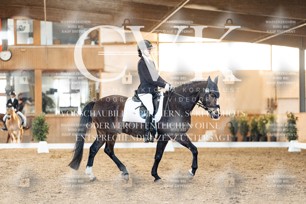 CK906950 | Turnierfotografie Pferdefotografie Trier Rheinland-Pfalz Pferdesport Reitsport Tierfotografie Sportfotografie Pferdevideo Pferdevideografie Equestrianvideography equestrianphotography  - Realisiert mit Pictrs.com