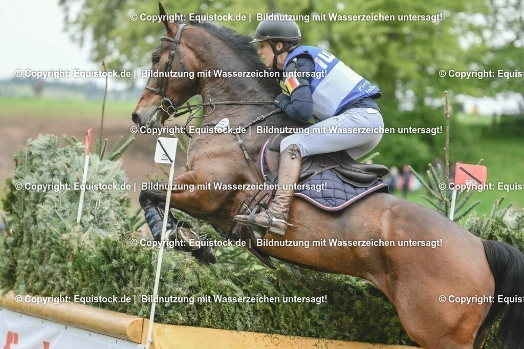 20230513_CCI4_Gelände_0238 | equistock