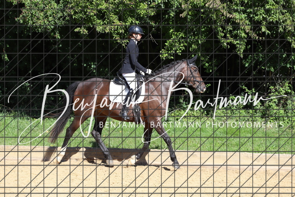 IMG_5694 | Benjamin Bartmann Photomoments