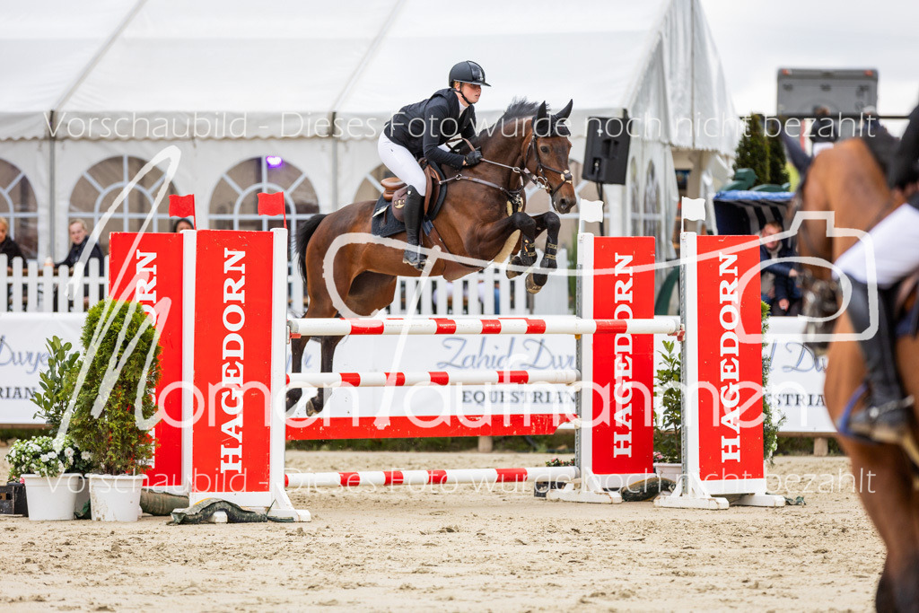 BHO-2PhSpr-M-5-2360 | MomenTaufnahmen Pferdesportfotos