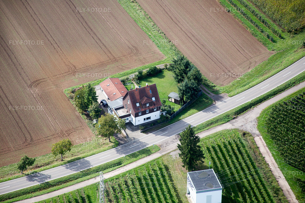 Luftbild: Waldstraße im Ortsteil Heuchelheim in Heuchelheim-Klingen im Bundesland Rheinland-Pfalz in Deutschland. Foto: IMG_072600.jpg vom 19.09.2014 durch Werner Riehm/FLY-FOTO.de