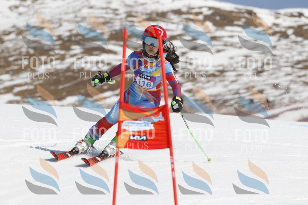 _U3G0625 | holidayphoto