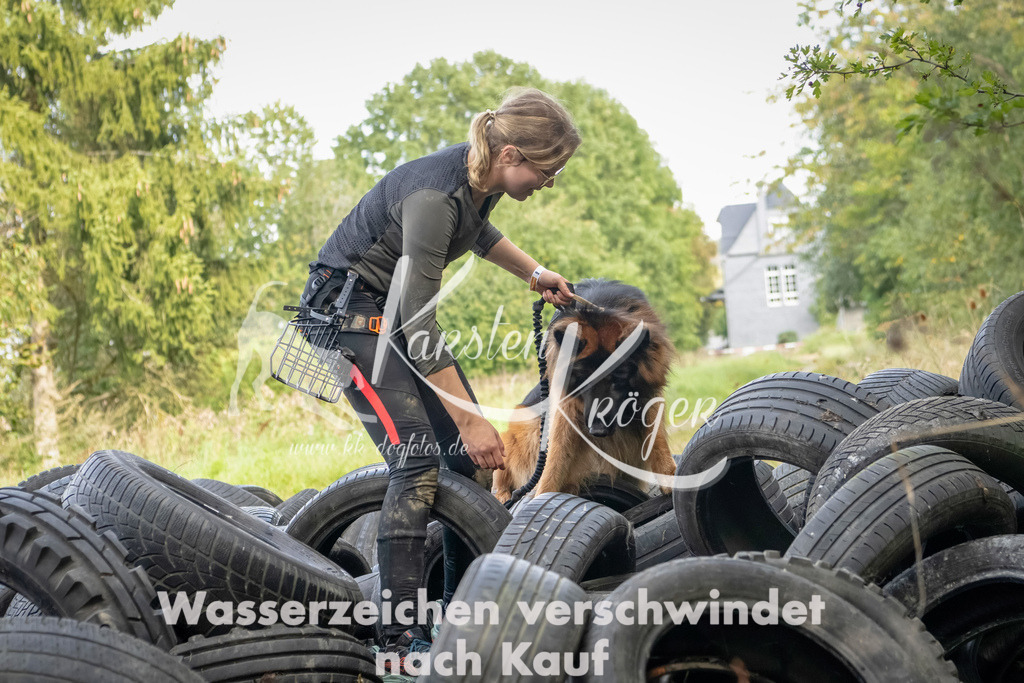1511_ZZ91312-Bearbeitet | kk-dogfotos
