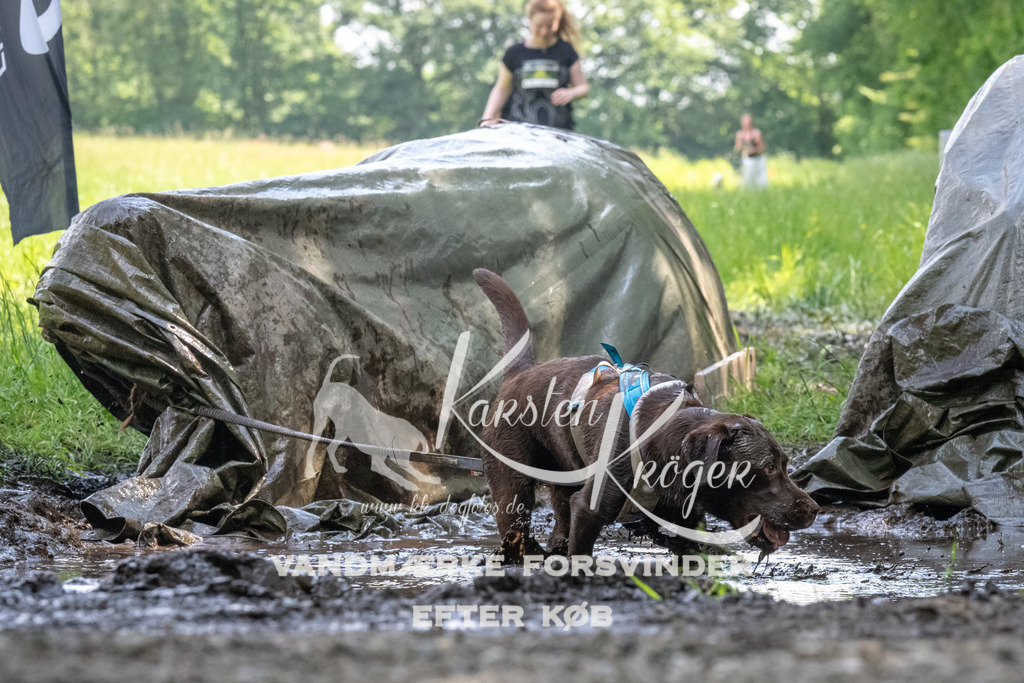 1200_ZZ90897 | kk-dogfotos
