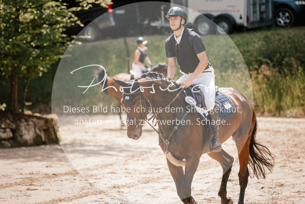 3I6A8170 | Stimmungsvolle Portraits und Reitsportfotografie im Ruhrgebiet und im Münsterland.

Pferdefotografie, Hundefotografie, Tierfotografie, Reportagen, Portraits von Tier und Mensch, Turnierfotografie in Bochum, Recklinghausen, Marl, Haltern am See, Dülmen.. - Realisiert mit Pictrs.com