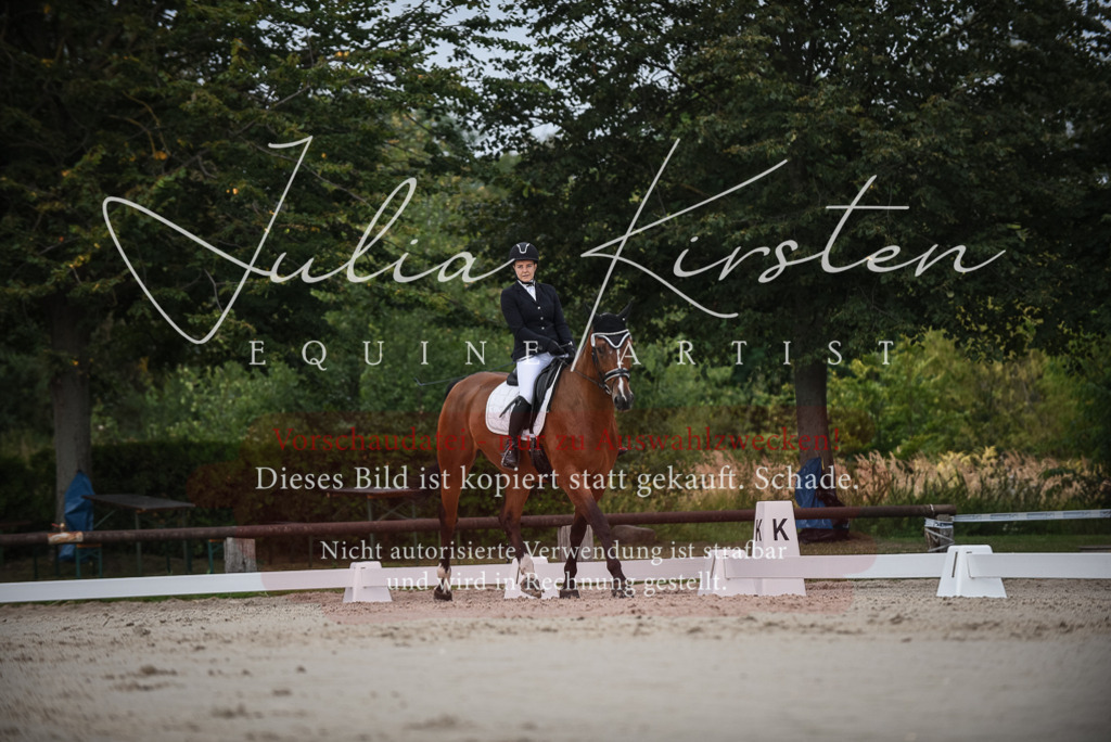 DSC_8070 | Pferde- und Turnierfotografie in Westsachsen. Pferdeportraits, Auftragszeichnungen und intuitive Kunst.