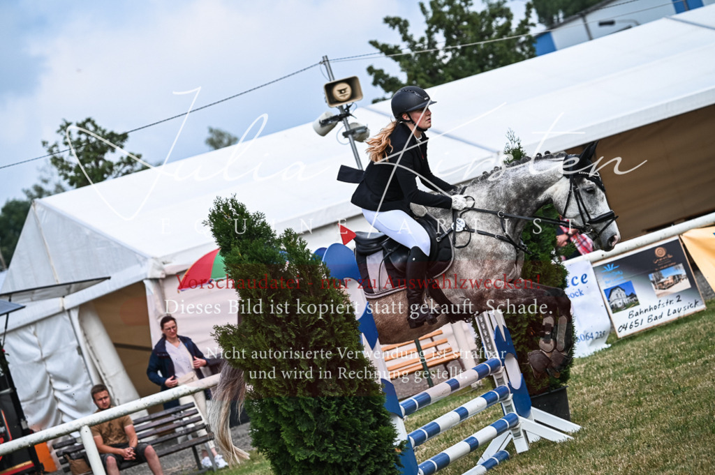 DSC_8362 | Pferde- und Turnierfotografie in Westsachsen. Pferdeportraits, Auftragszeichnungen und intuitive Kunst.