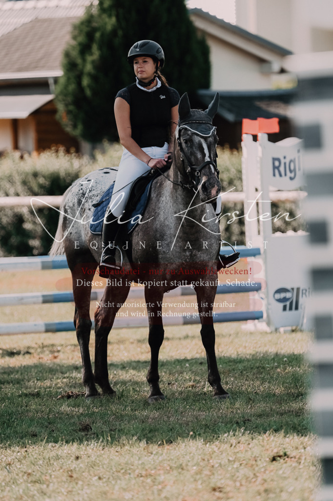 DSC_4897 | Pferde- und Turnierfotografie in Westsachsen. Pferdeportraits, Auftragszeichnungen und intuitive Kunst.
