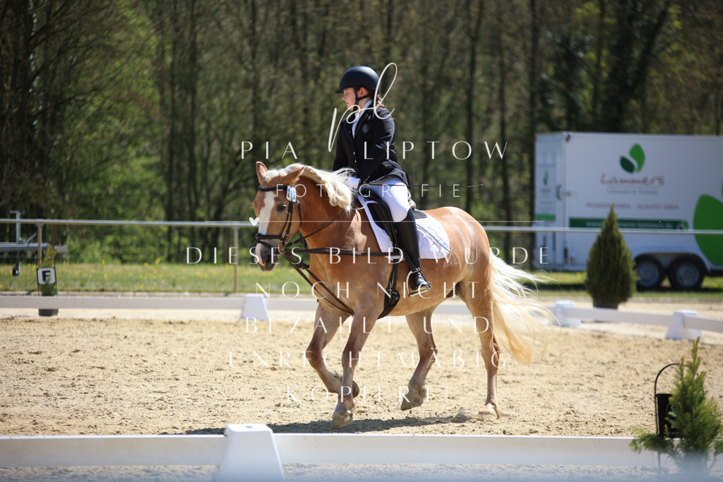 IMGT1245 | pl-fotografie