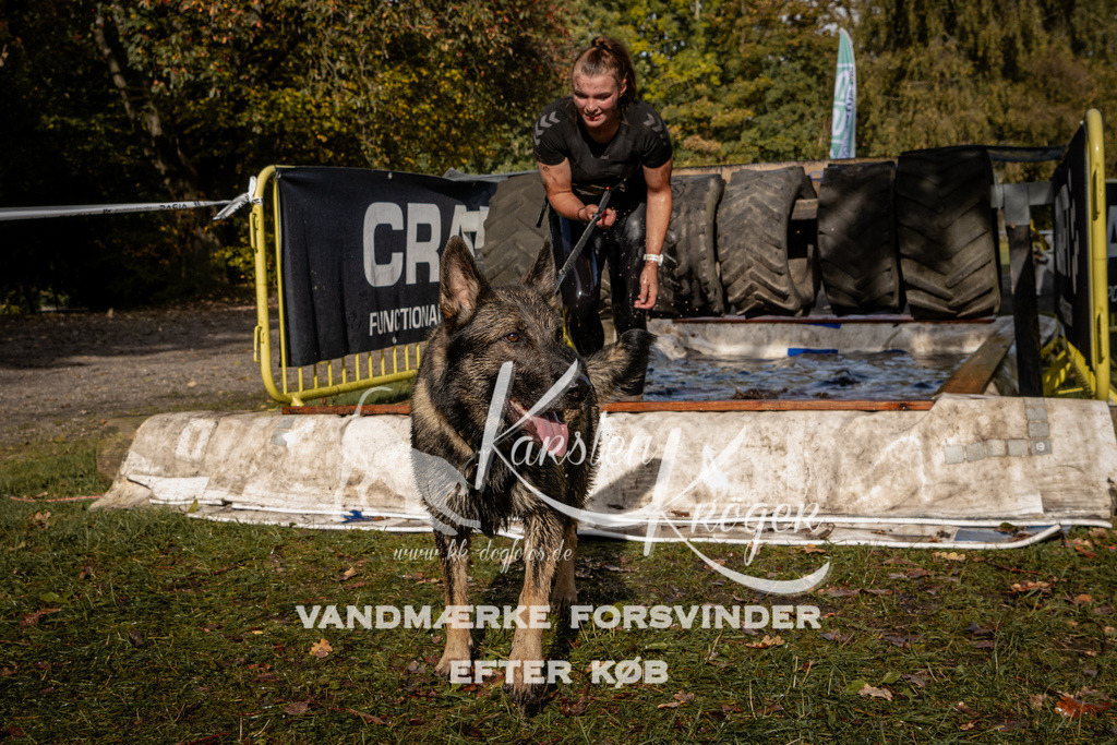 1306_ZZ91967 | kk-dogfotos