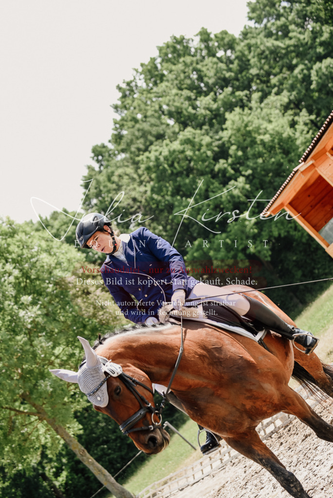 DSC_1215 | Pferde- und Turnierfotografie in Westsachsen. Pferdeportraits, Auftragszeichnungen und intuitive Kunst.