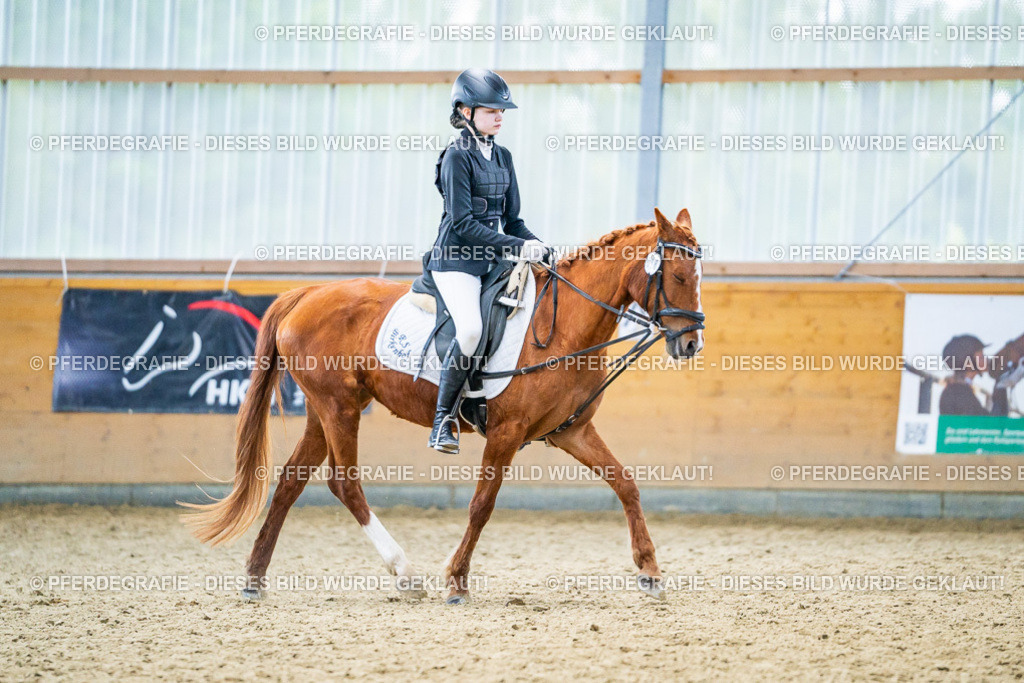 DSC04834 | Pferdegrafie