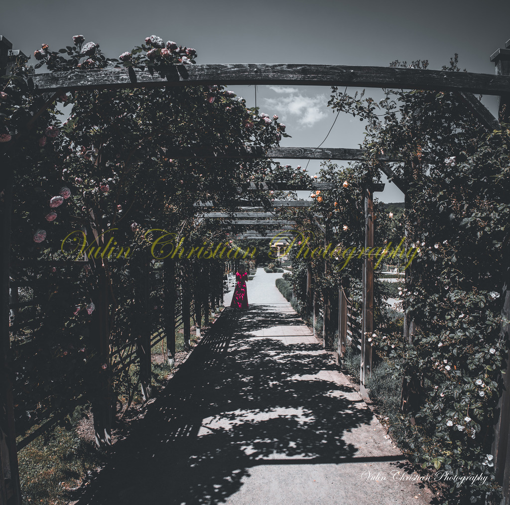 DR 9 | Christian Vulin  - Realisiert mit Pictrs.com