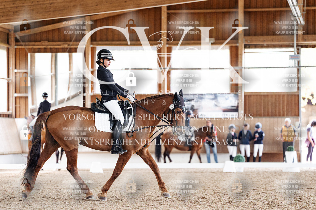 CK900589 | Turnierfotografie Pferdefotografie Trier Rheinland-Pfalz Pferdesport Reitsport Tierfotografie Sportfotografie Pferdevideo Pferdevideografie Equestrianvideography equestrianphotography  - Realisiert mit Pictrs.com