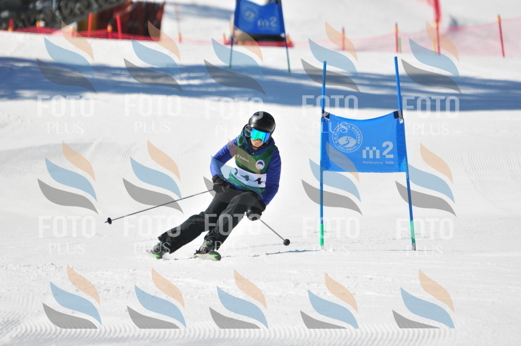 C3973 | holidayphoto