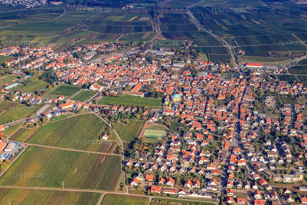 Luftbild: Ortsansicht von Süden im Ortsteil Mußbach in Neustadt im Bundesland Rheinland-Pfalz in Deutschland. Foto: IMG_22058.jpg vom 15.10.2009 durch Werner Riehm/FLY-FOTO.de